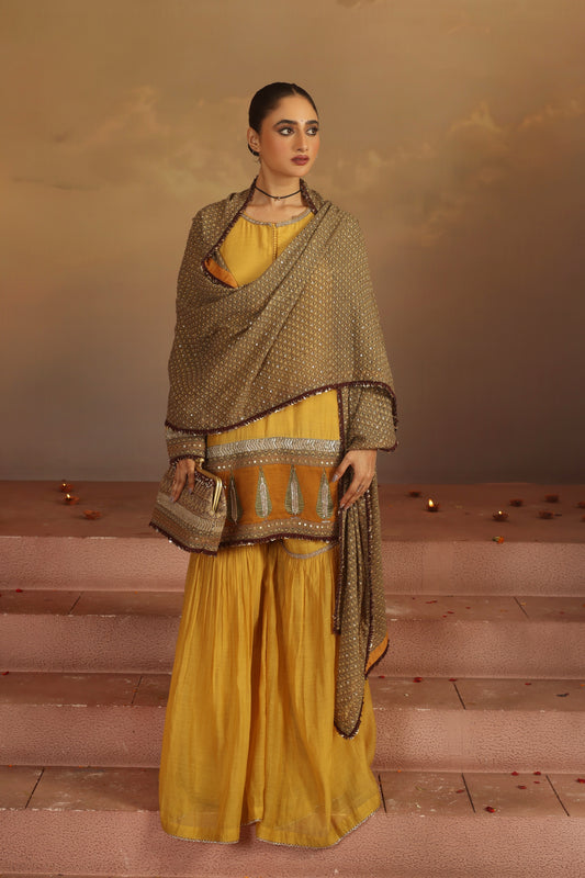 Kripa Sauterne Gharara Set