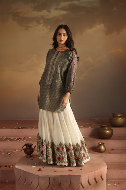 Kripa Grey Grey Kurta with Applique Gharara Set