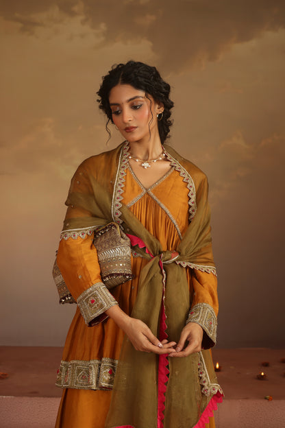 Kripa Mustard Cross Border V-Neck Embroidered Sharara Set