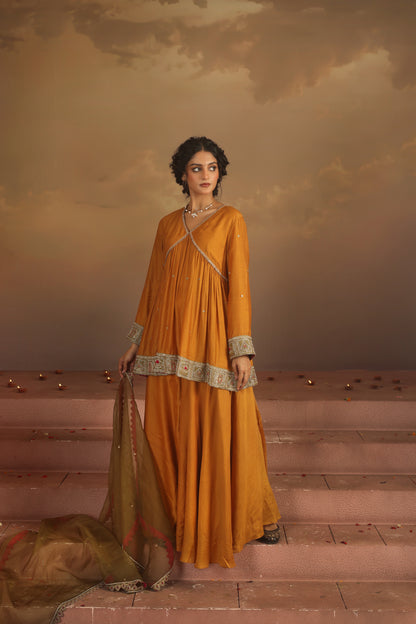 Kripa Mustard Cross Border V-Neck Embroidered Sharara Set