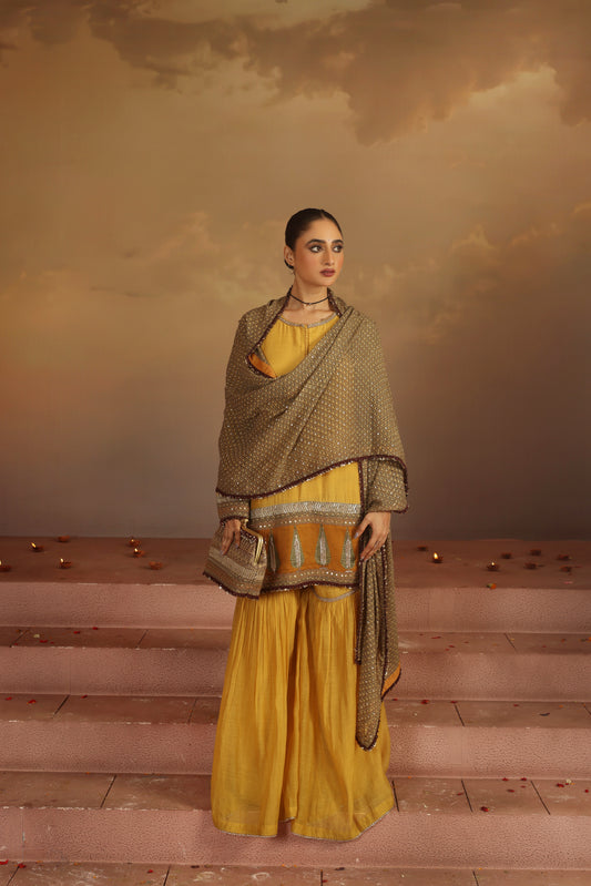 Kripa Sauterne Sauterne Gharara Set