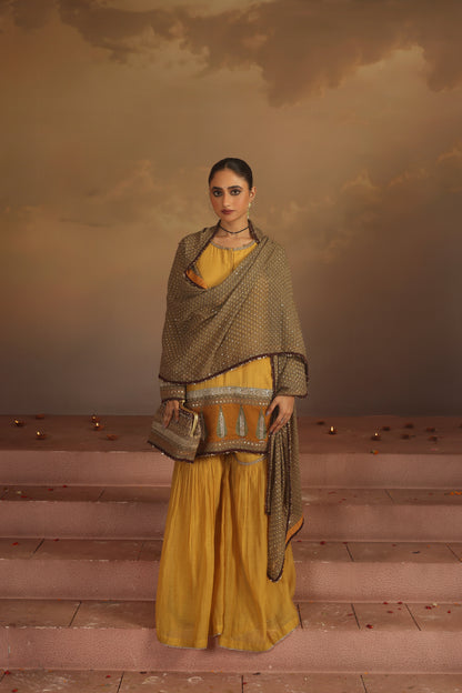 Kripa Sauterne Sauterne Gharara Set