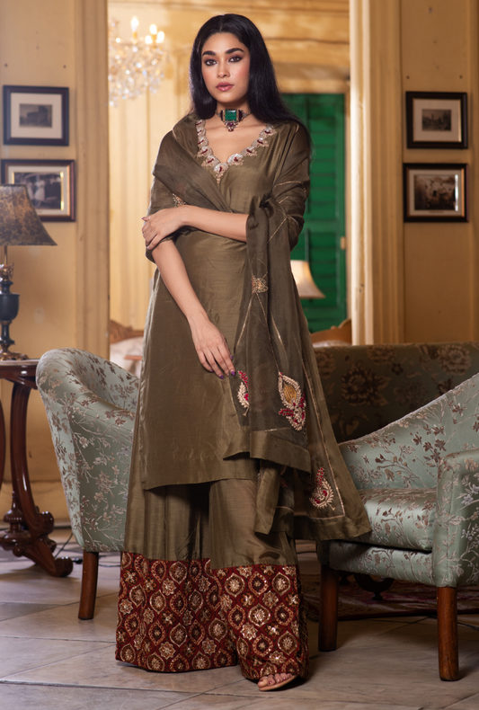 Hasti Peacock Sharara Set