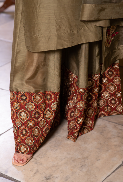 Hasti Peacock Sharara Set