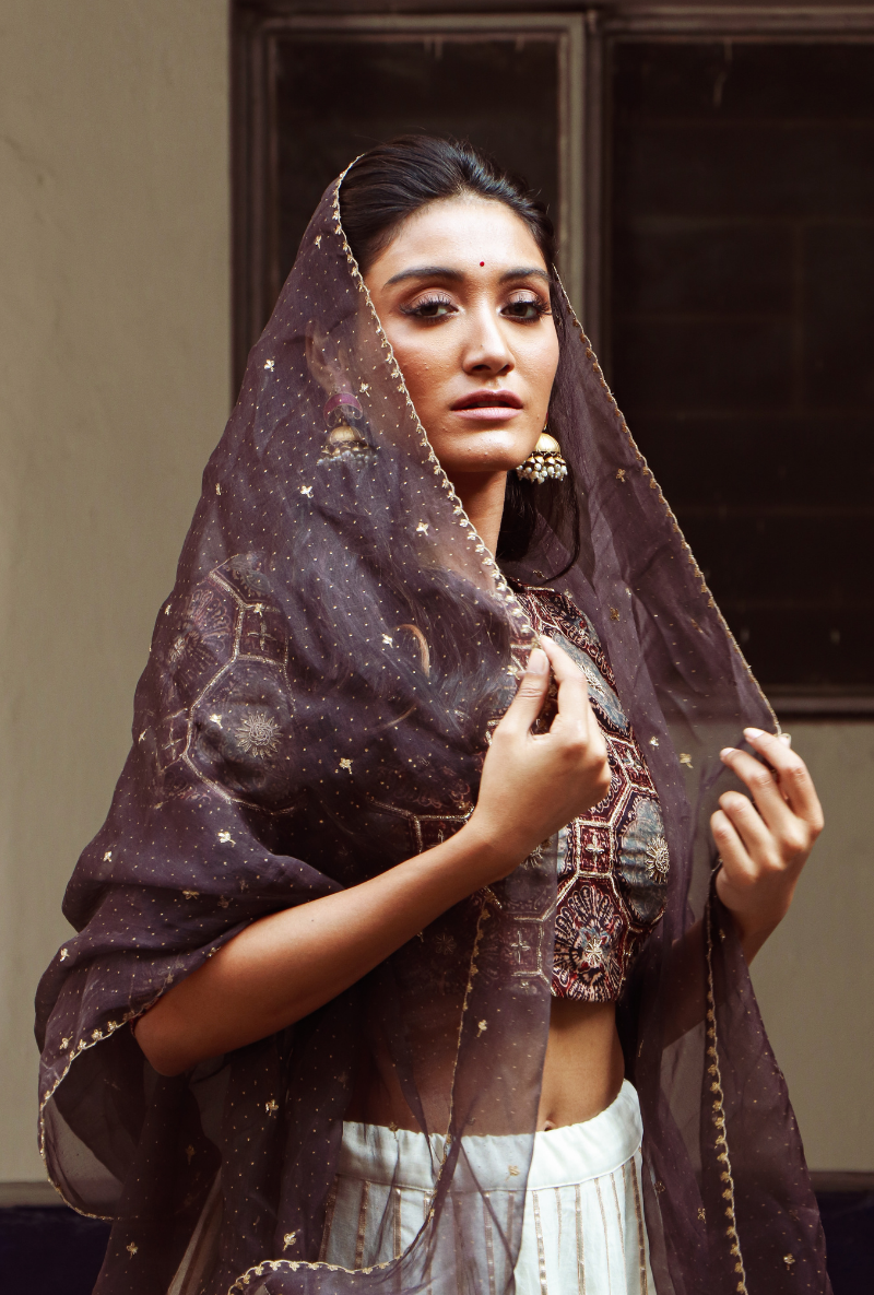 Ivory & Brown Lehenga Set